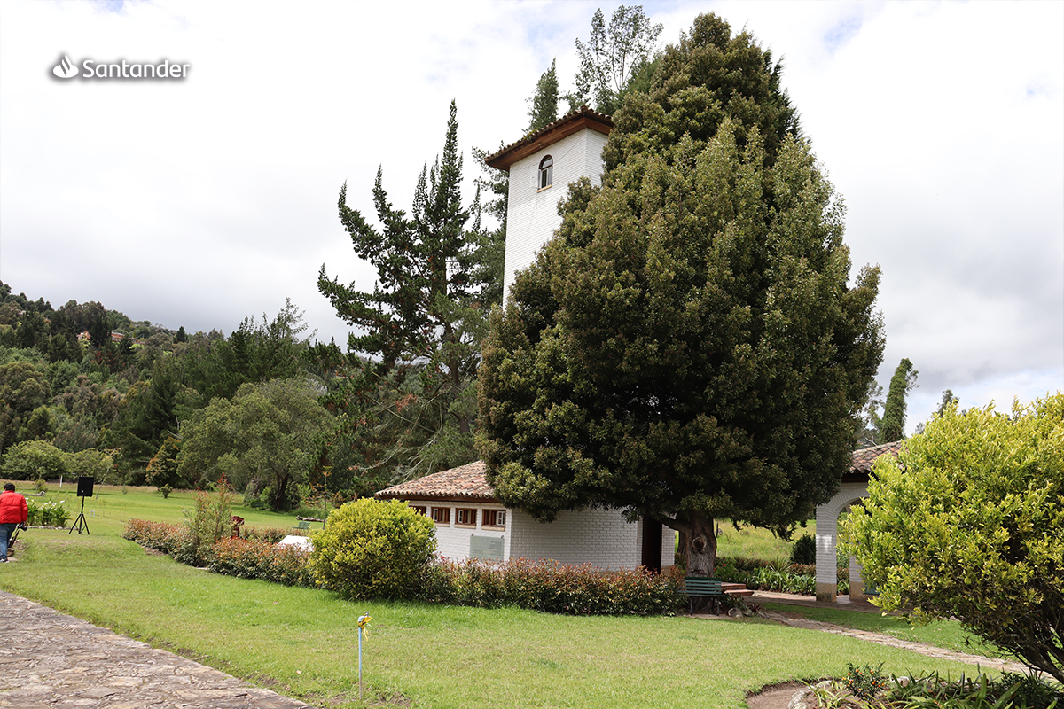 jardín de la amistad 7